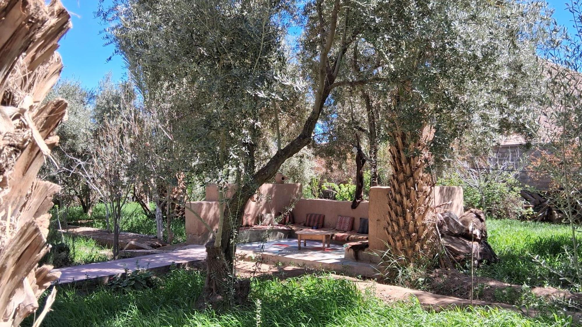 Gite Kasbah La Palmeraie Skoura Exterior foto