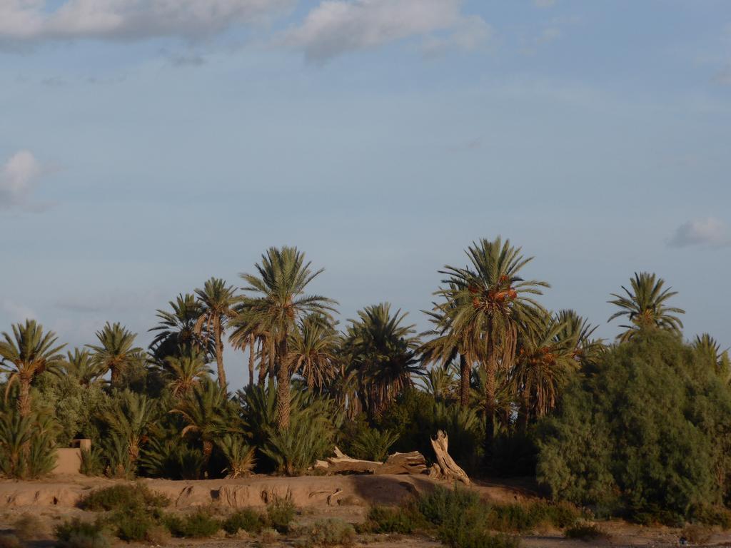 Gite Kasbah La Palmeraie Skoura Exterior foto